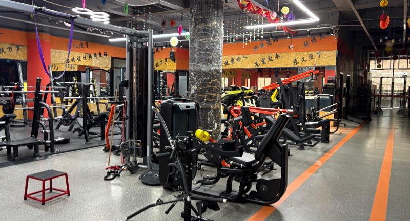 Featured image of post 健身房修行的日子